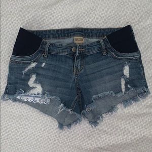 Maternity Shorts